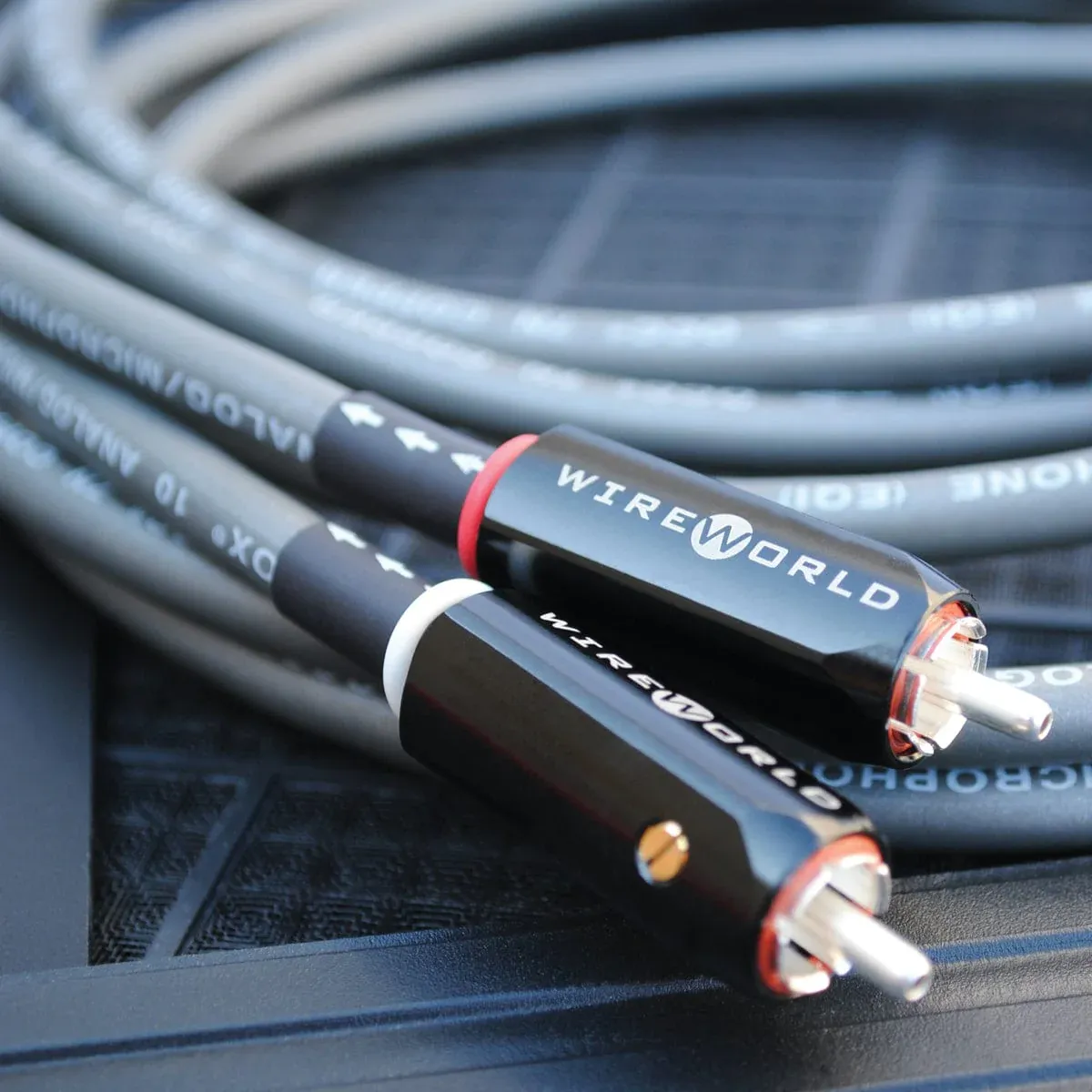 WireWorld Equinox® 10 RCA / XLR