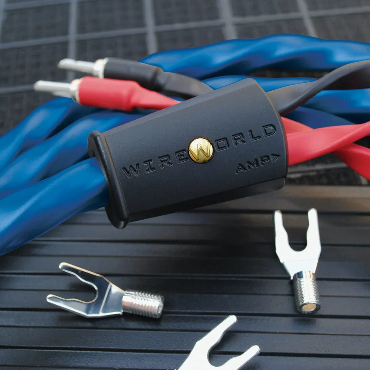 WireWorld Oasis® 10