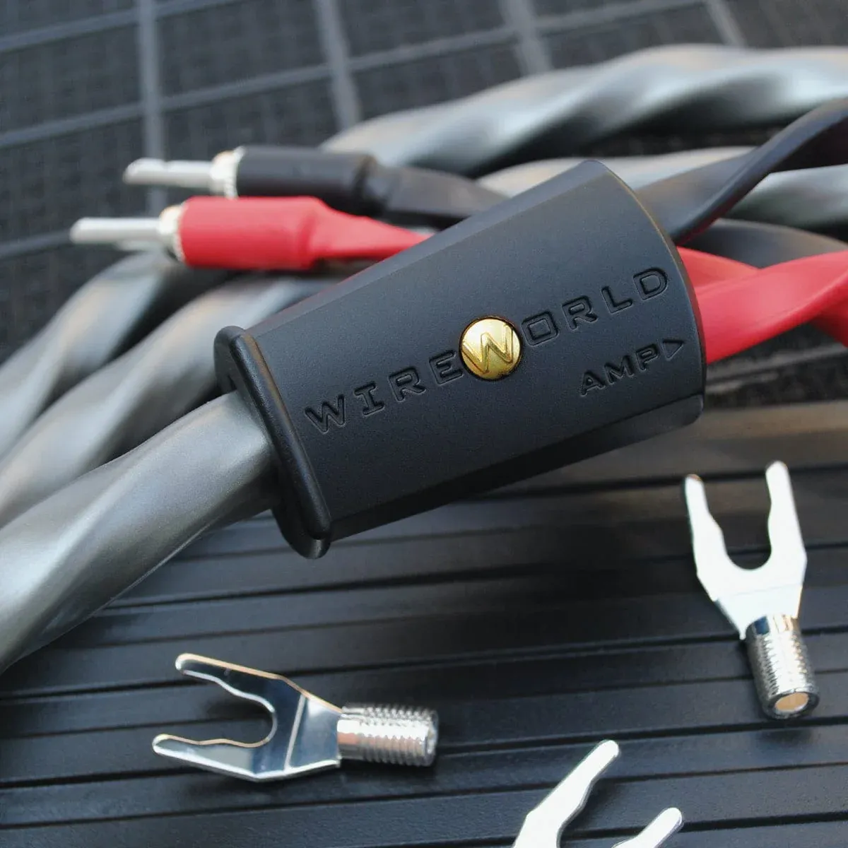 WireWorld Equinox® 10