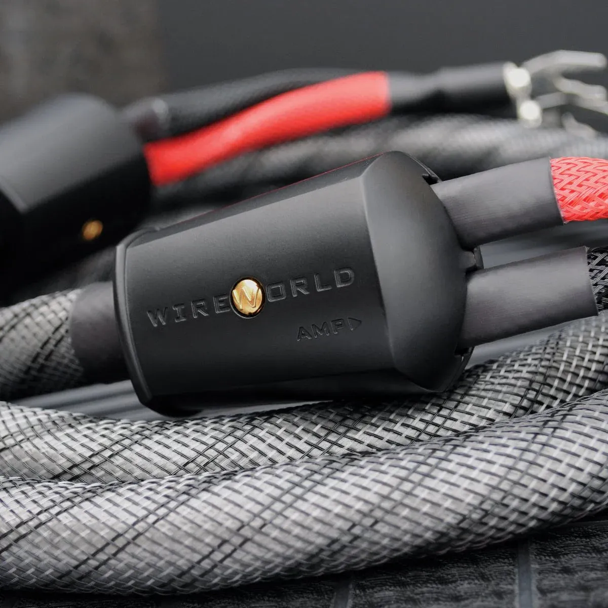 WireWorld Silver Eclipse™ 10