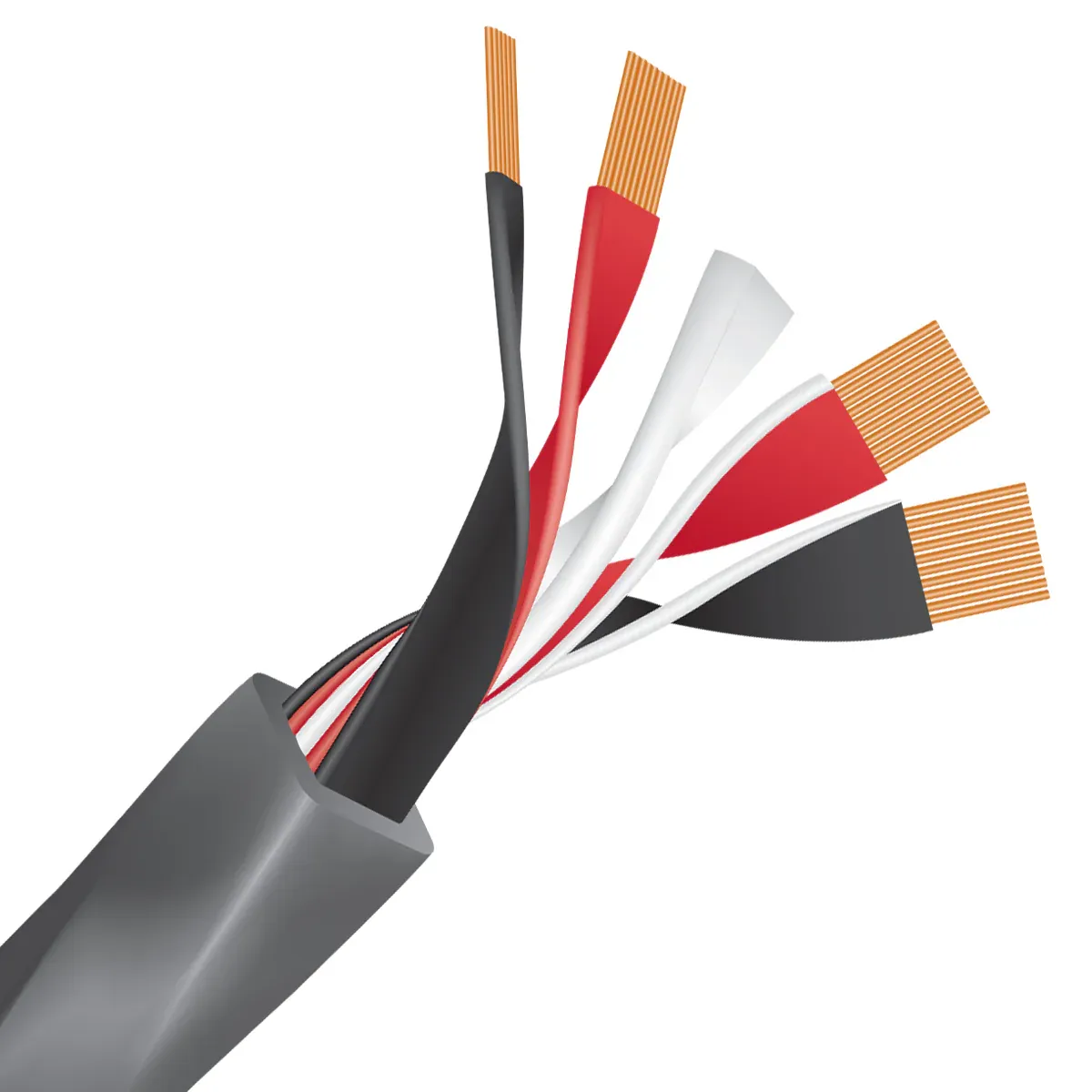 WireWorld Equinox® 10, M-Kabl Belgrade (3/4)