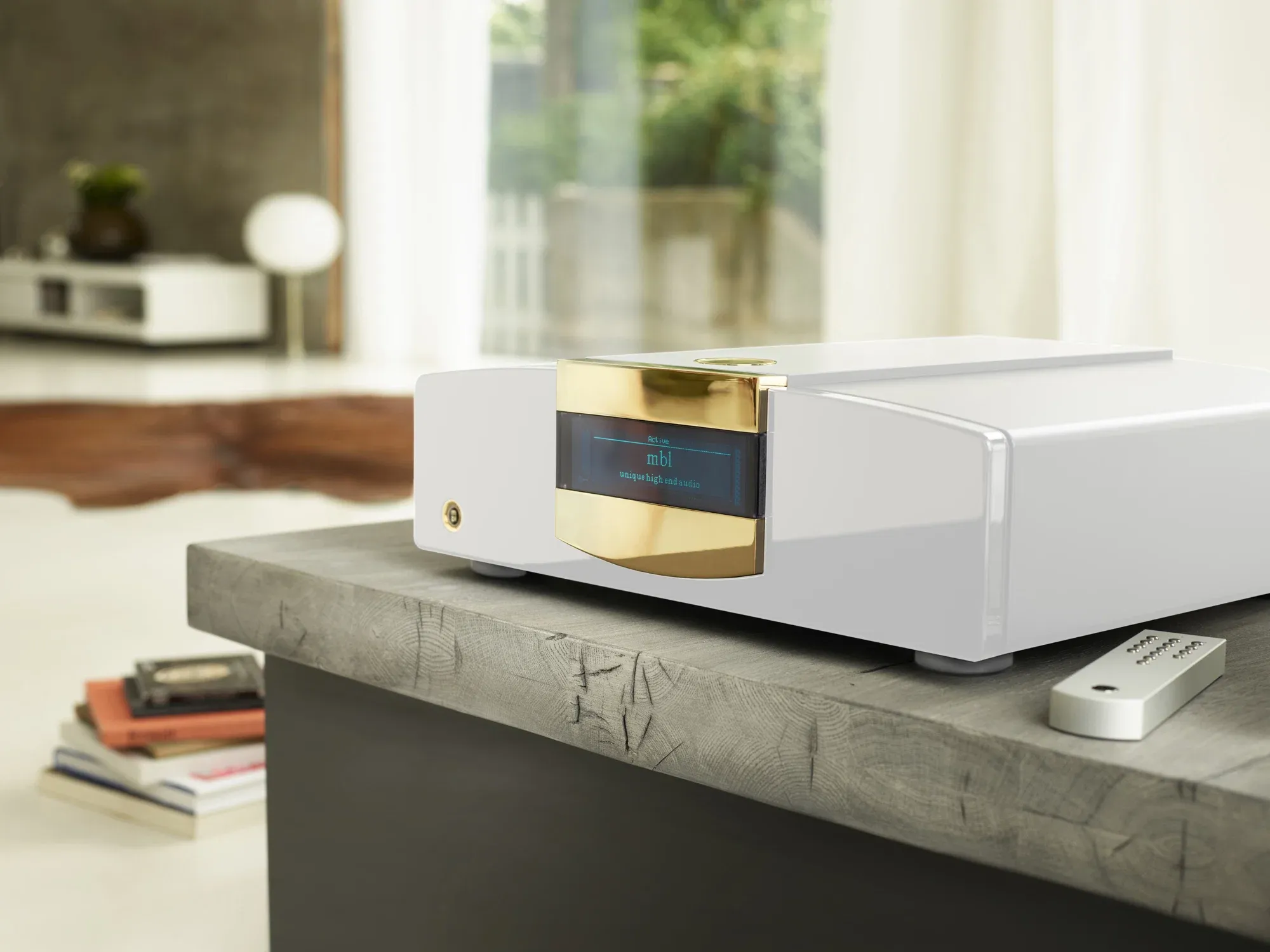 MBL Monoblock Amplifier MBL C15, M-Kabl Beograd (3/4)