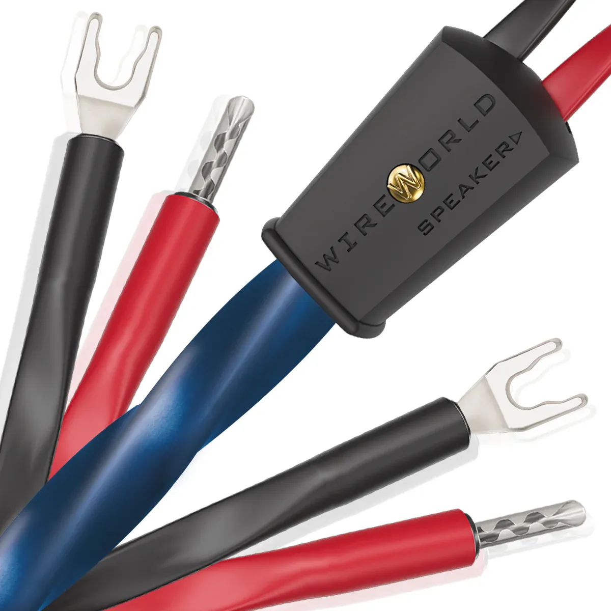 WireWorld Oasis® 10, M-Kabl Belgrade (3/4)